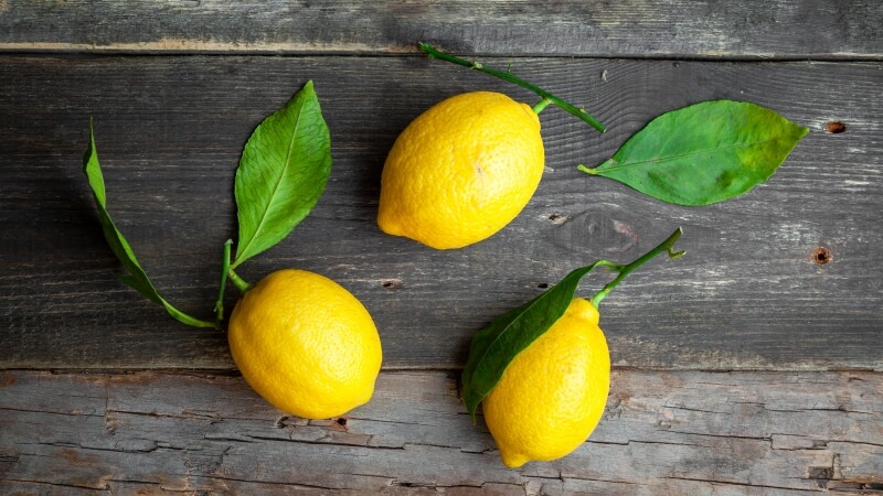 Świeże żółte cytryny z zielonymi liśćmi
