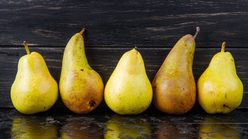 Dojrzałe zielono-żółte gruszki na gałęzi