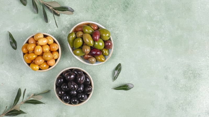 Oliwki rosnące na gałęzi drzewa oliwnego