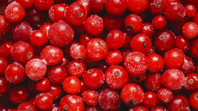 Czerwone owoce żurawiny z bliska