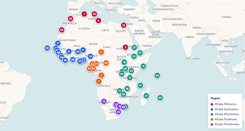 Mapa Afryki z zaznaczonymi 54 państwami kontynentu — Nigerią, Egiptem, Algierią, Kenią, Marokiem, RPA i pozostałymi krajami