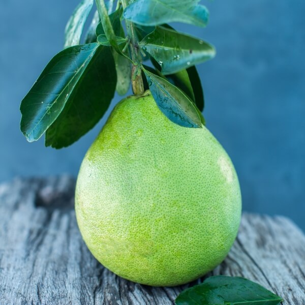 Pomelo - owoc egzotyczny